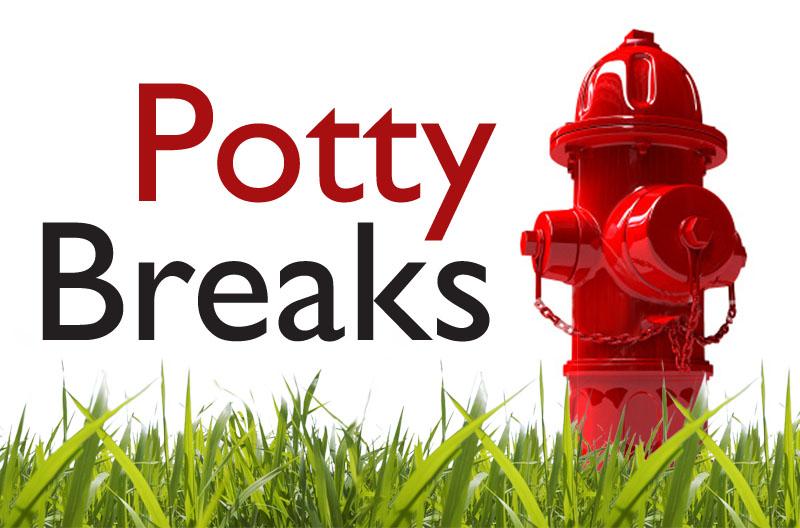Potty Breaks Park City UT 84060 4359620077 All Animal Services